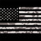 Black and White Camo American Flag AirPods Pro 2nd Gen Skin